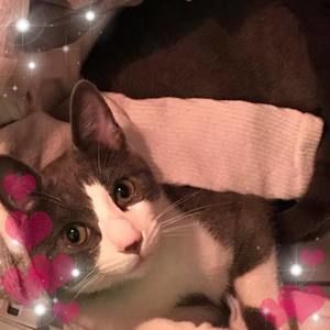 Meet your Posher, Julie